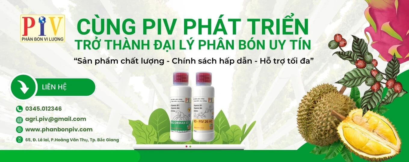 Baner trang chủ phanbonpiv.com3