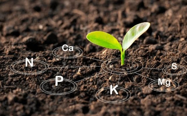 ảnh seo phân bón vi lượng 2