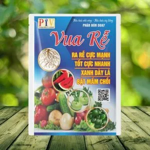 phân bón vi lượng vua rễ