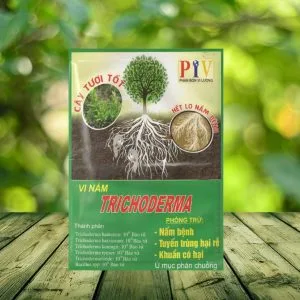 Chế phẩm vi sinh trichoderma