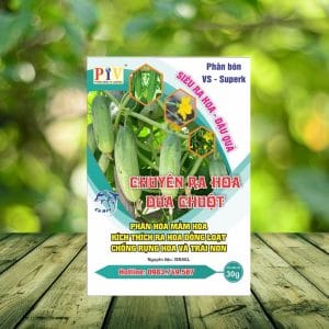sản phẩm chuyên ra hoa dưa chuột