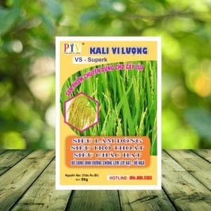 phân bón vi lượng chuyên lúa