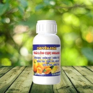 phân bón vi lượng chuyên xoài