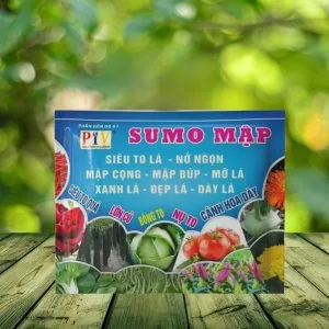 PHÂN BÓN VI LƯỢNG - SUMO MẬP