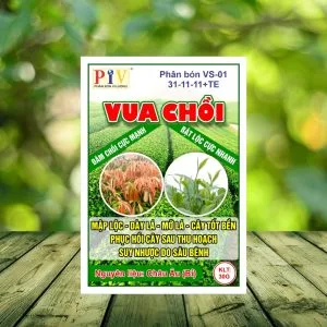 phân bón vi lượng vua chồi