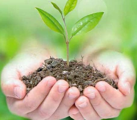 Ảnh SEO cho bài viết Thấu Hiểu Phân Bón Từ A - Z